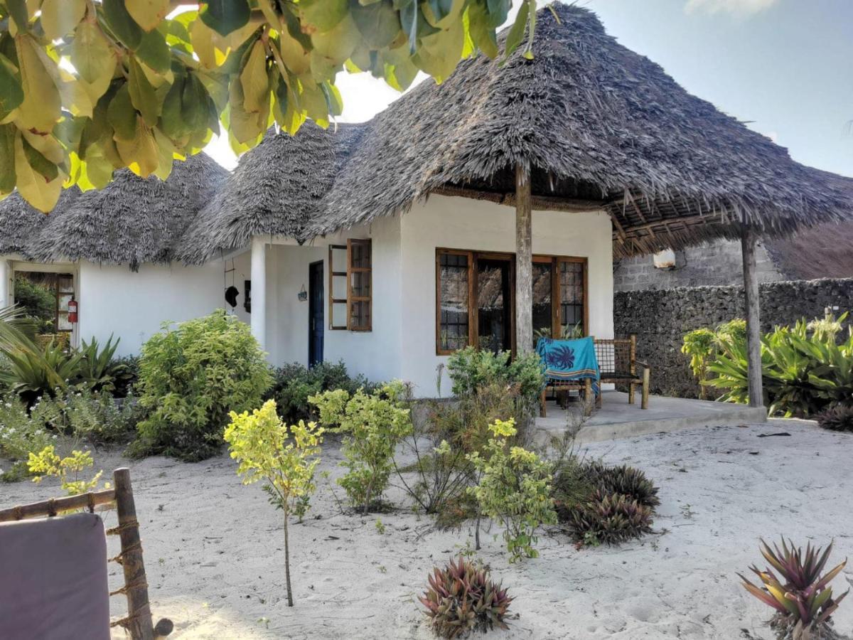 Driftwood Beach Lodge Jambiani  Exterior foto