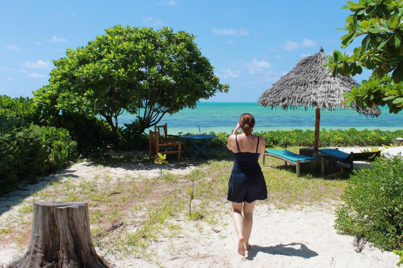 Driftwood Beach Lodge Jambiani  Exterior foto