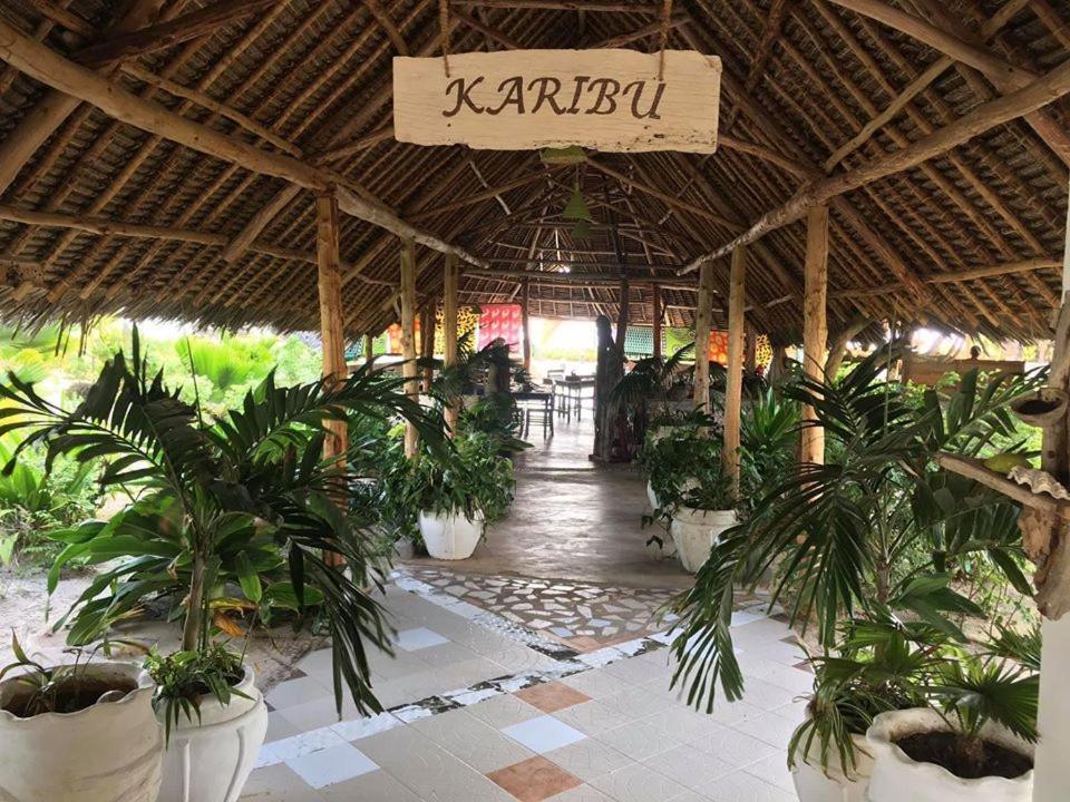 Driftwood Beach Lodge Jambiani  Exterior foto
