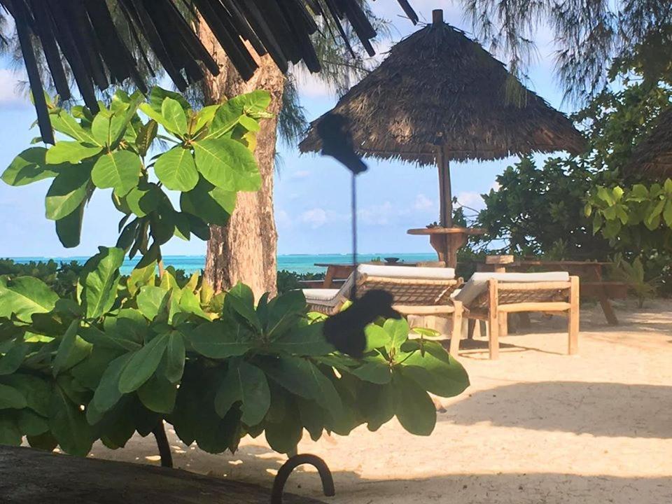 Driftwood Beach Lodge Jambiani  Exterior foto
