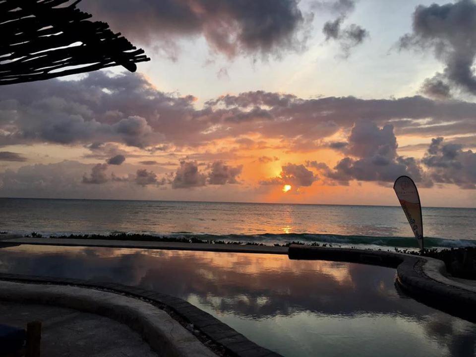 Driftwood Beach Lodge Jambiani  Exterior foto