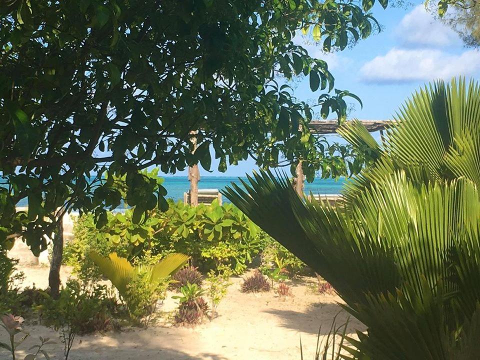 Driftwood Beach Lodge Jambiani  Exterior foto